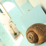 Lovely Shabby Chic Home